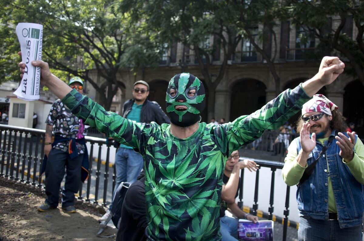 A supporter of marijuana legalization celebrates outside the Supreme Court after it ruled to legalize marijuana on Nov. 4.