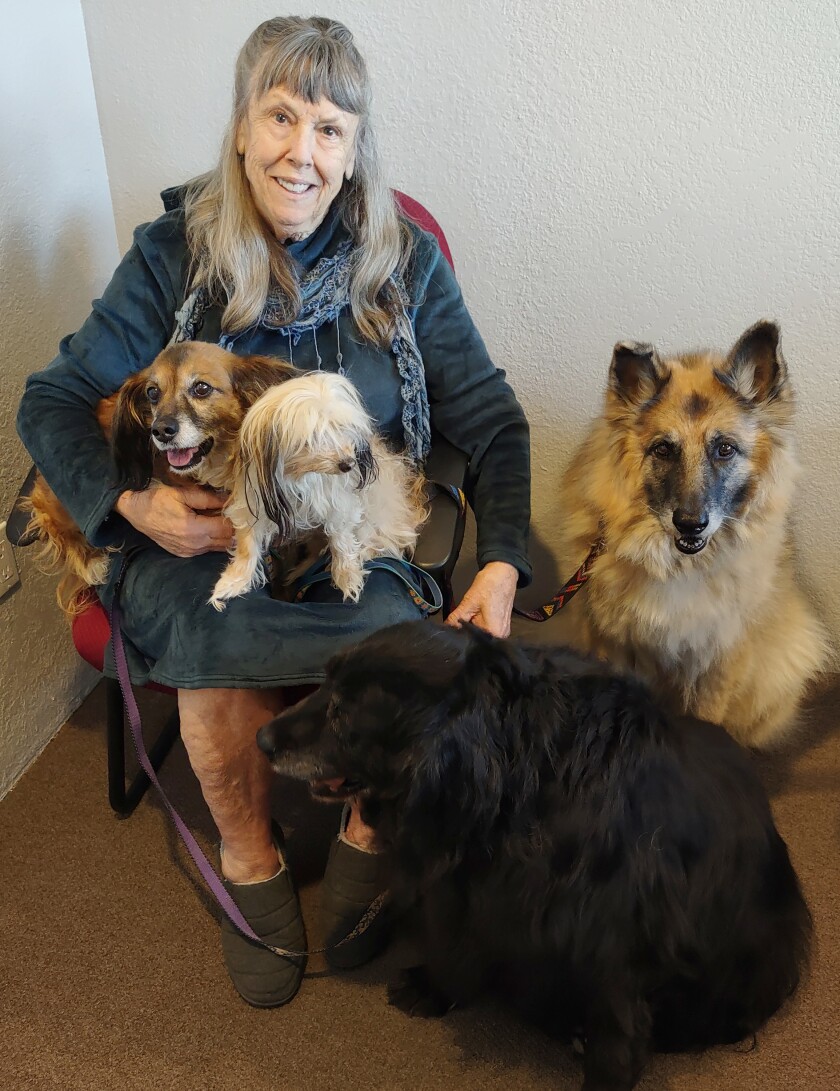 Jeanne Cannon, shown with her dogs Kimmie, Stella, Keydan and Harley, has been rescuing animals for three decades.