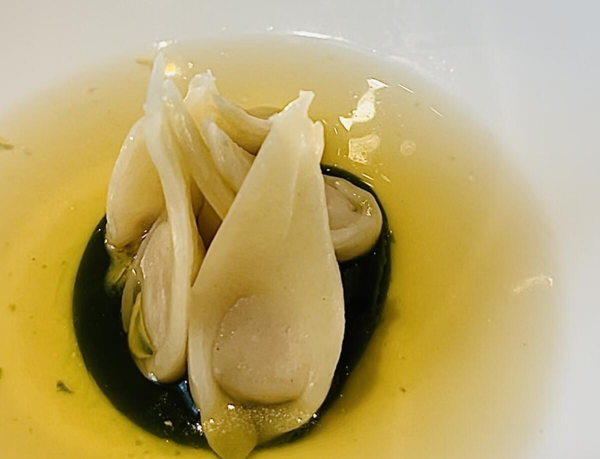 several tortellini with long tails stand upright in a bowl in a dark liquid surrounded by a lighter liquid
