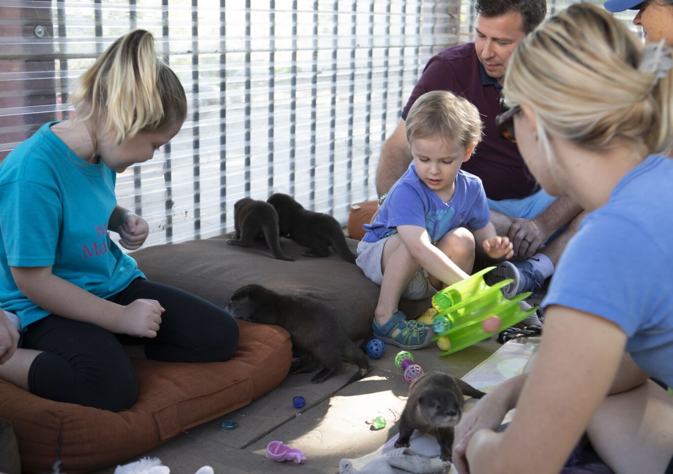 Baby otthers and Make-A-Wish kids interact at Nurtured by Nature