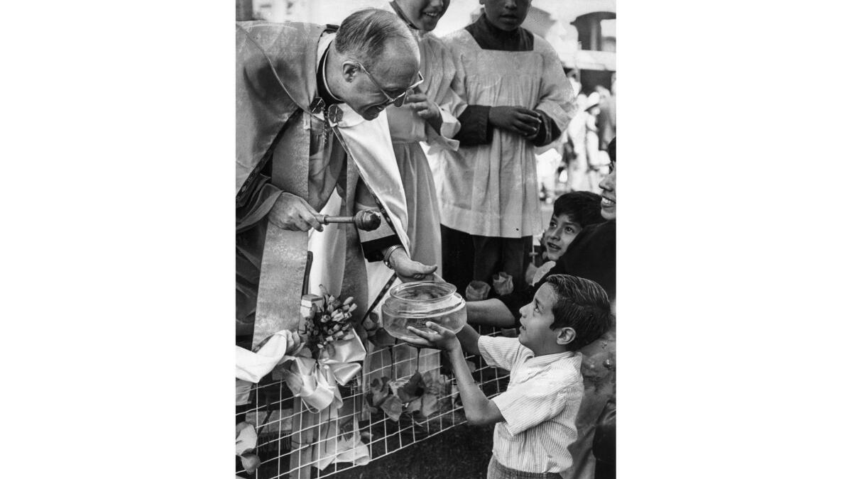 April 13, 1968: Even a turtle in a fishbowl qualifies for a blessing by Father Macrinus Nino during the annual Olivera Street Blessing of the Animals which drew 5,000 persons to the Old Plaza.