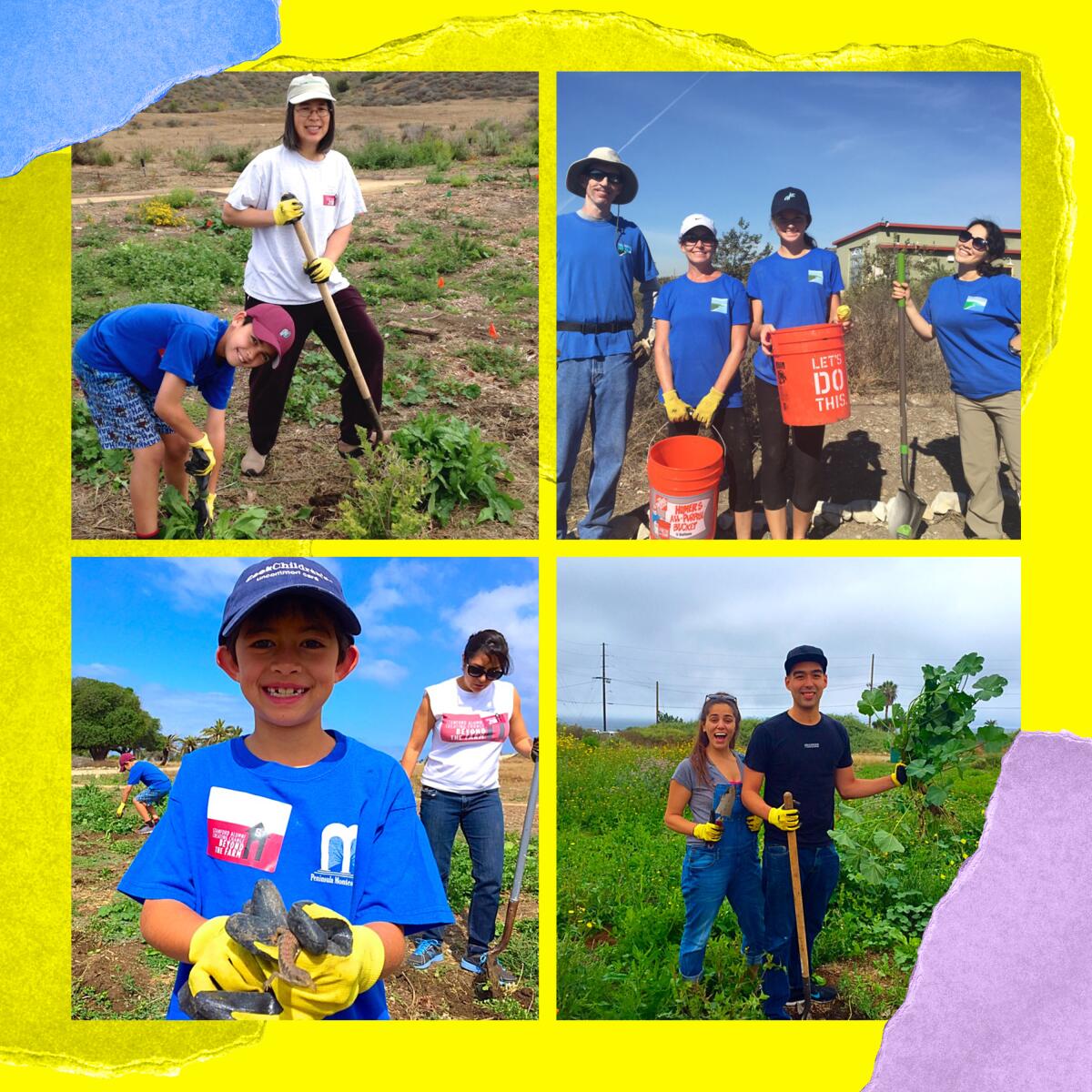 Four photos of people hoeing and carrying buckets outdoors.