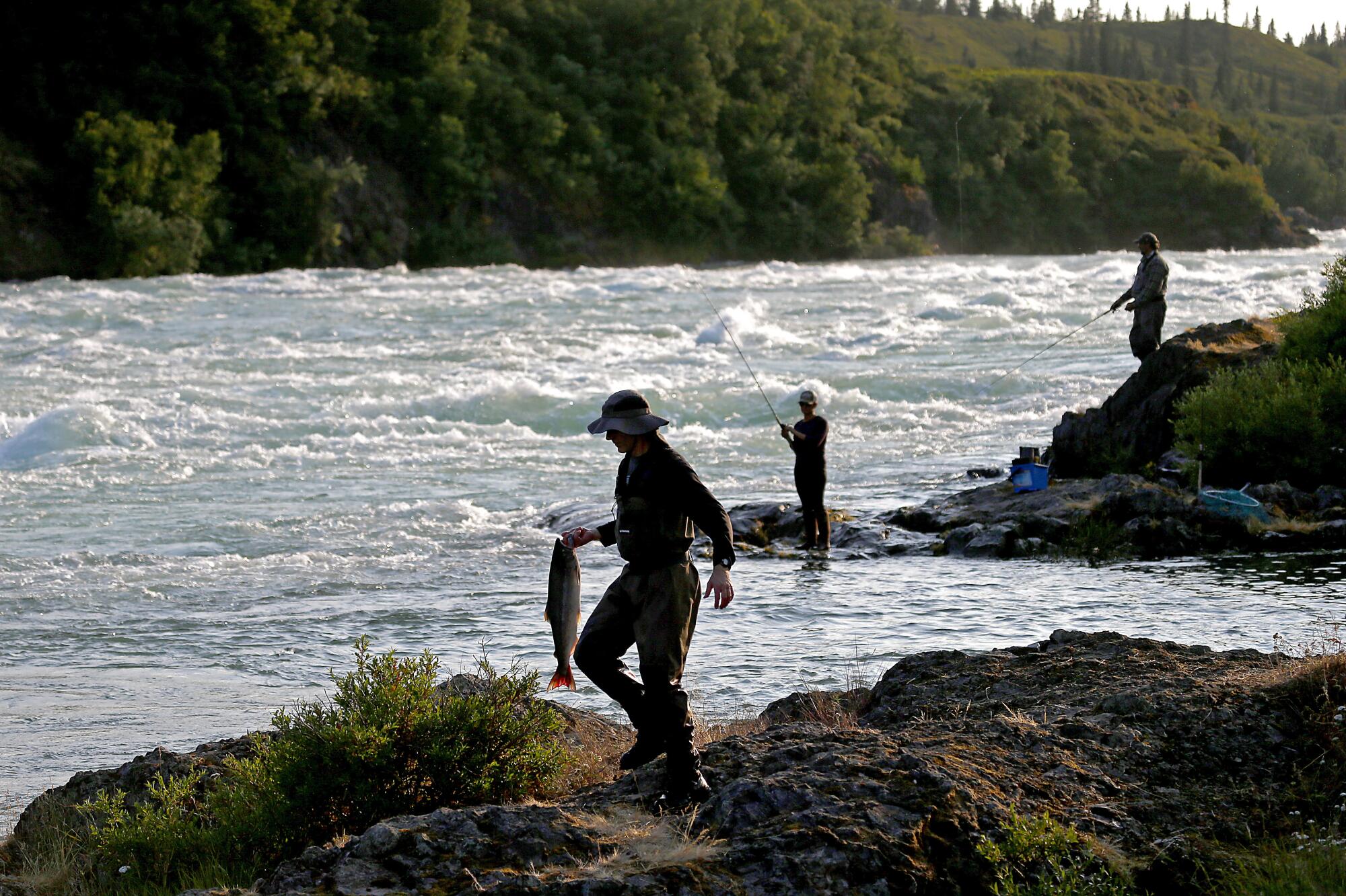 Fishing for sockeye salmon in the Newhalen River near Iliamna, Alaska.