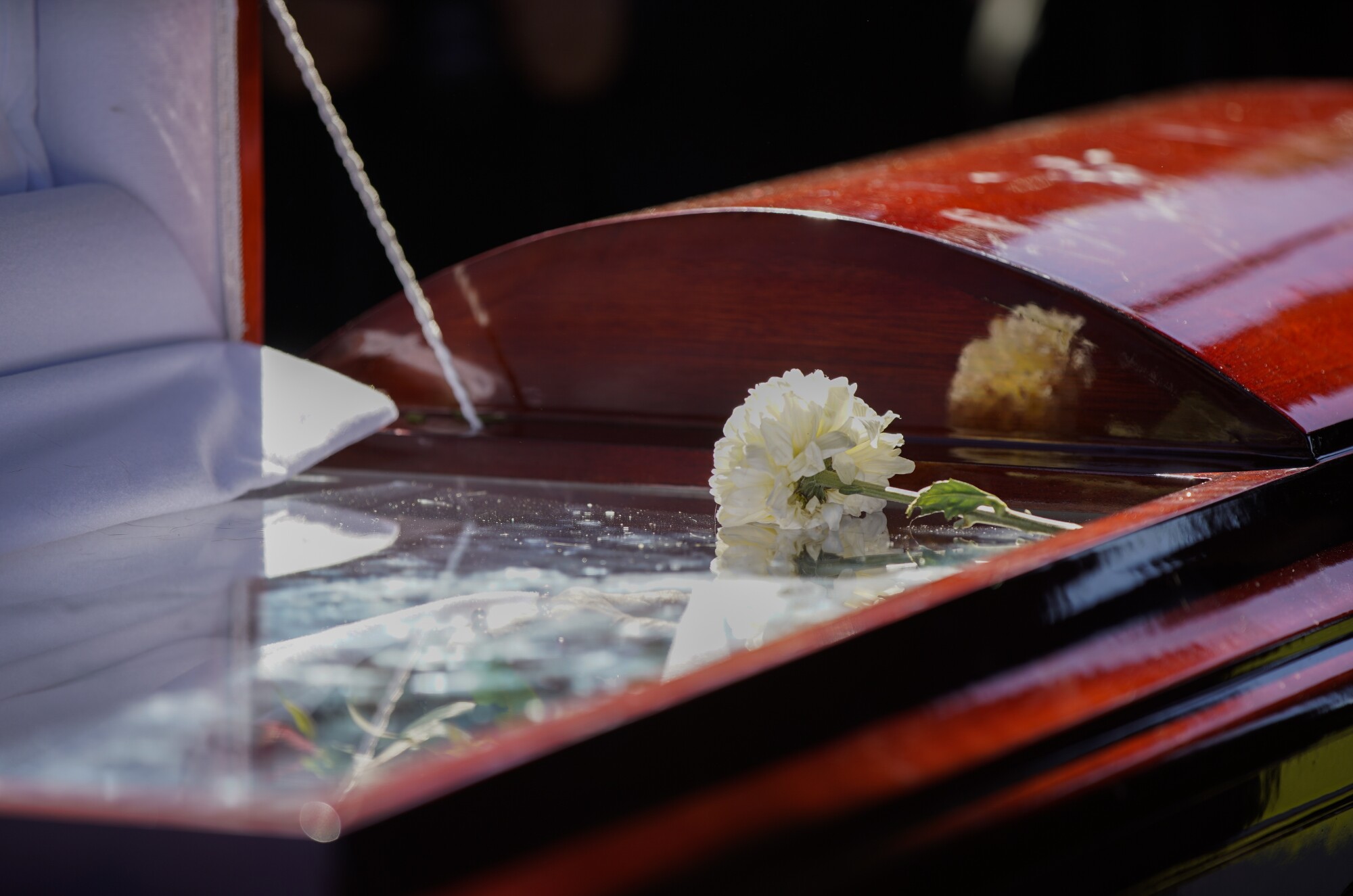 A white chrysanthemum flower lays on top of Maldonado's casket