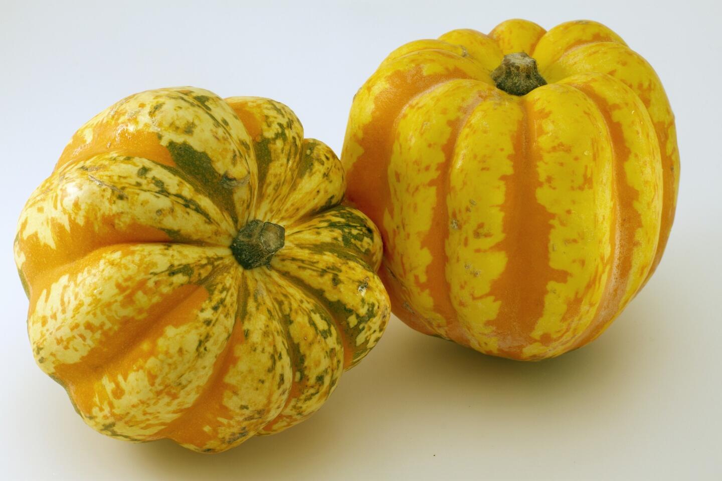 Winter squash, harvested in the fall months, is different from summer squash because it's eaten in the mature fruit stage. Here are a few varieties to try.