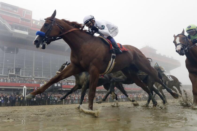 FILE - In this May 19, 2018, file photo, Justify, with Mike Smith aboard, wins the 143rd Preakness Stakes horse race at Pimlico race course in Baltimore. ustify finished unbeaten, on and off the track. The Triple Crown winner for 2018 added Horse of the Year to his resume, getting the nod over Accelerate for the biggest prize handed out at the Eclipse Awards on Thursday night, Jan. 24, 2019. (AP Photo/Patrick Semansky, File)