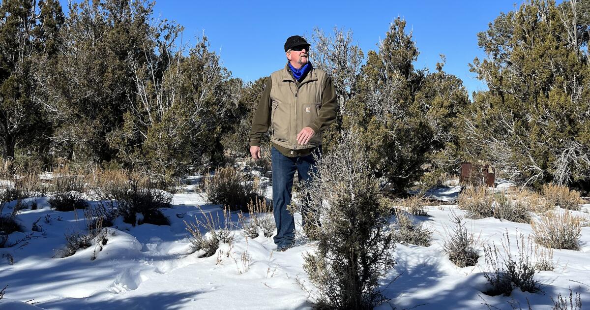 Should pinyon-juniper forests be turned into biofuel?