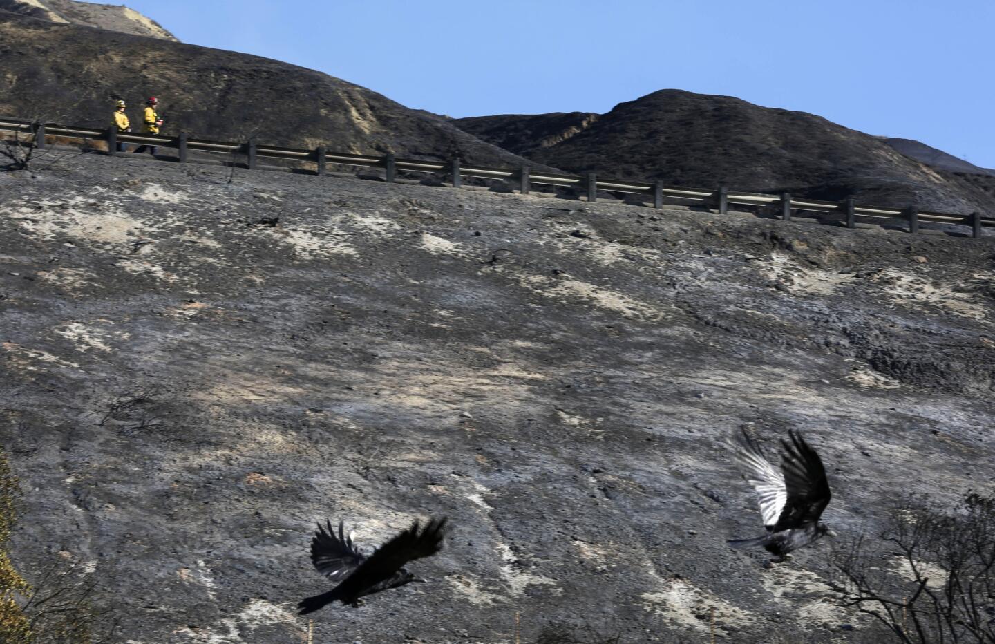 Ventura County fire