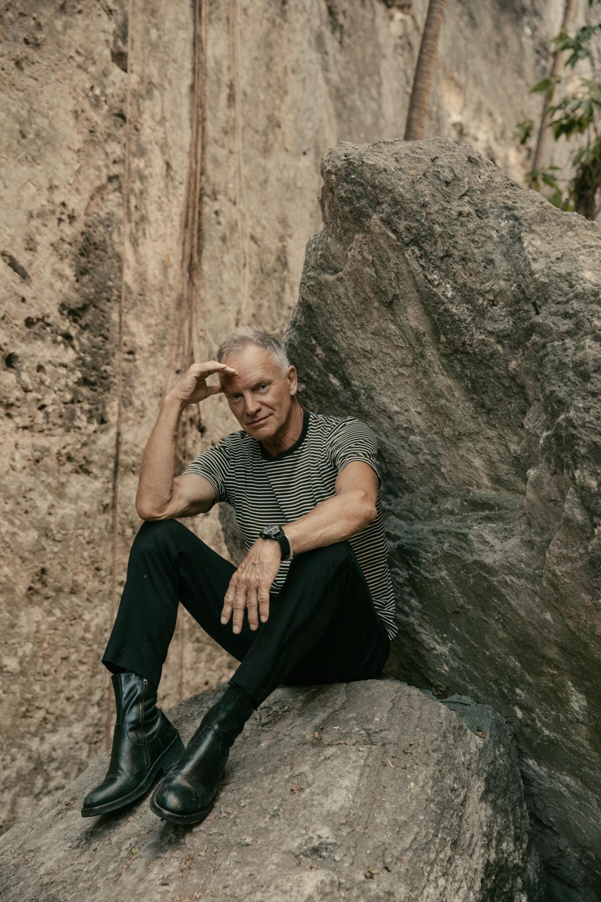 Sting sitting on a large rock.