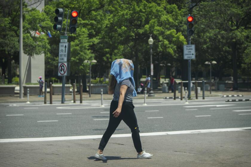 Una mujer camina con una sudadera en la cabeza para protegerse del sol en el centro de Washington, el miércoles 19 de junio de 2024. (AP Foto/Mark Schiefelbein)