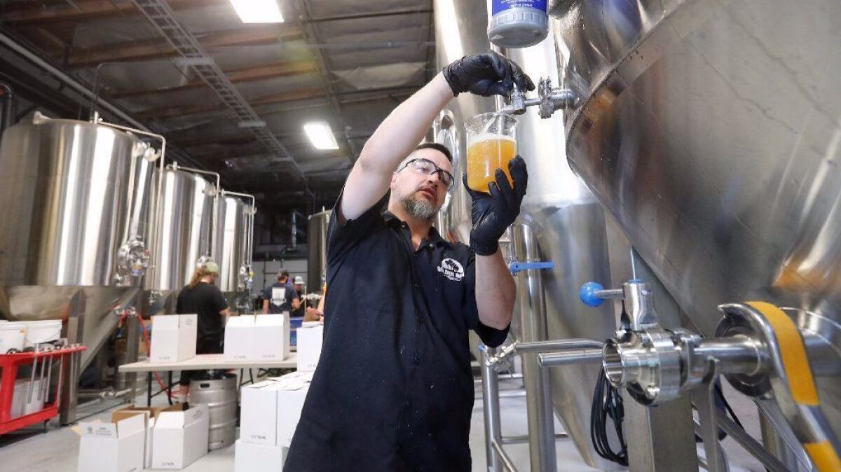Head brewer Steven Torres pours a craft beer as he checks its consistency at Golden Road Brewing in Anaheim.