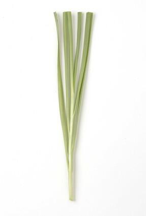 Chinese chives