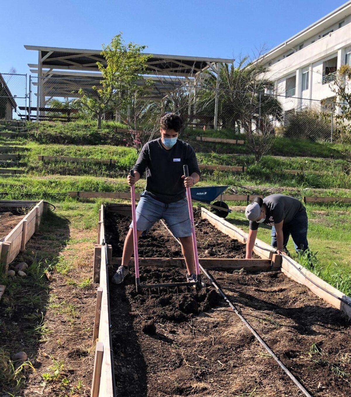Students turning the soil at Urban Life Ministries farm.