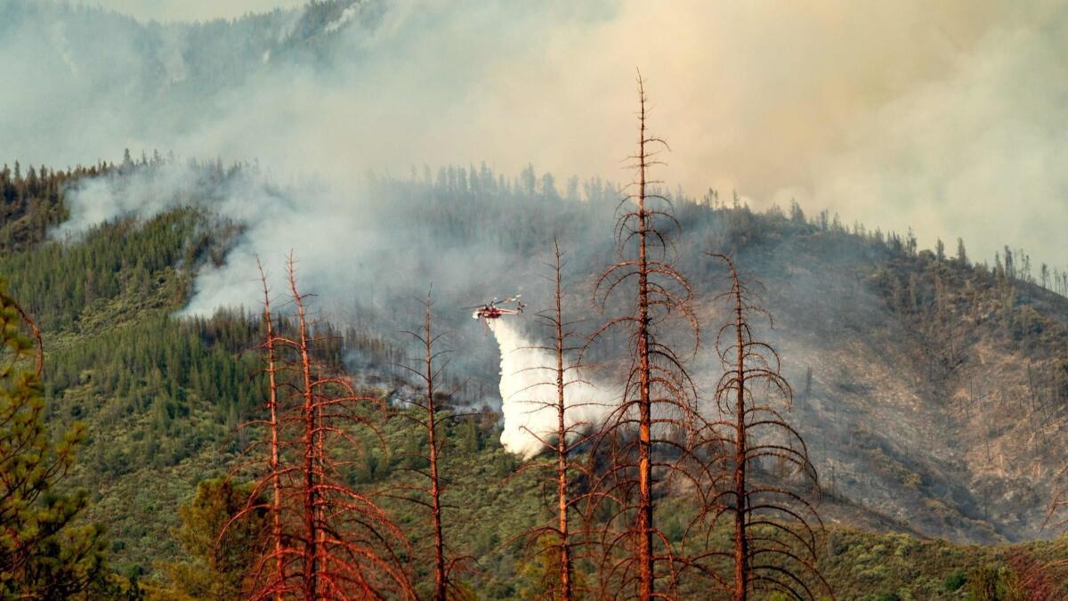 Dead trees line a clearing as a helicopter battling the Ferguson fire passes behind in the Stanislaus National Forest on Sunday.