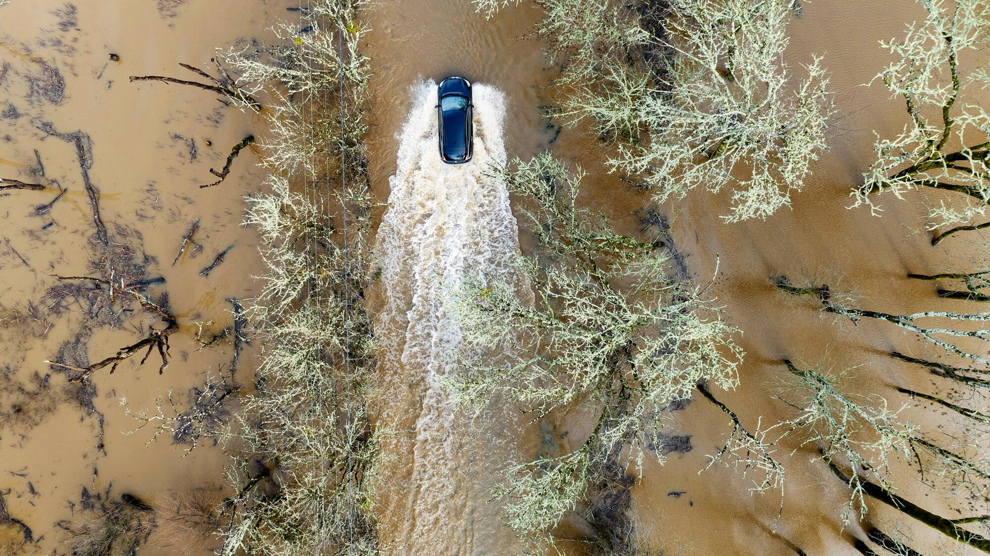A vehicle drives through muddy waters on a flooded road surrounding by fields and forest.