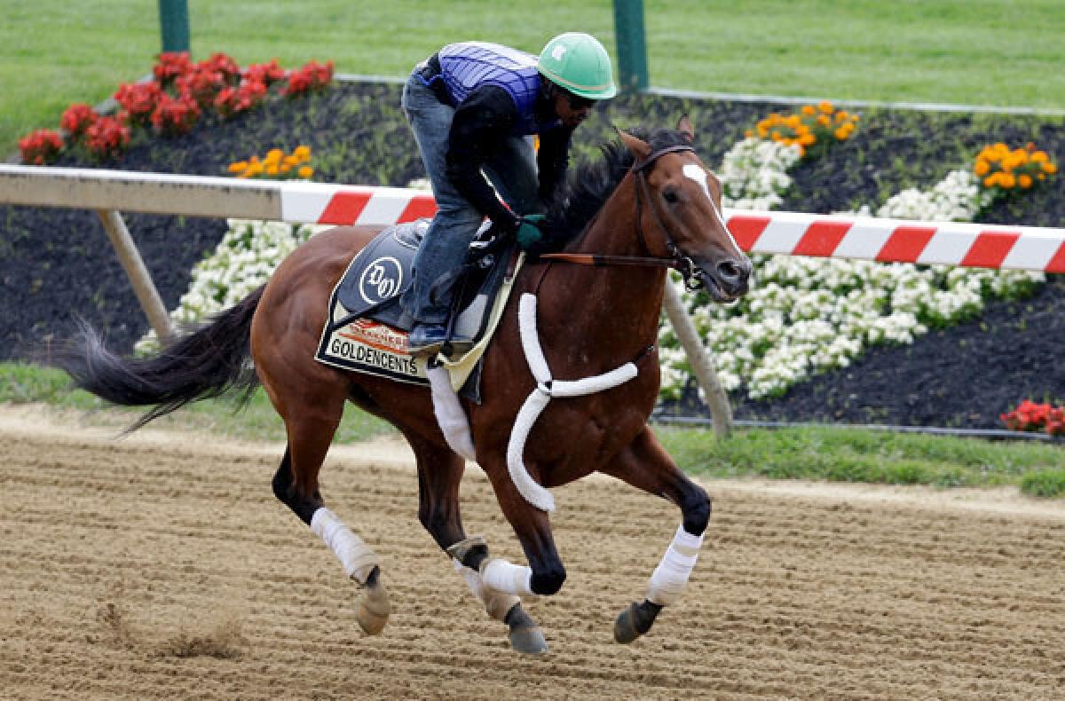 Jockey Kevin Krigger works out Goldencents on Wednesday in preparation for the 138th Preakness Stakes at Pimlico Race Course.