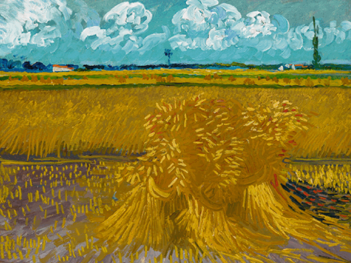 A gif rotates through a van Gogh painting; a picture of ramen; and a mirrored room
