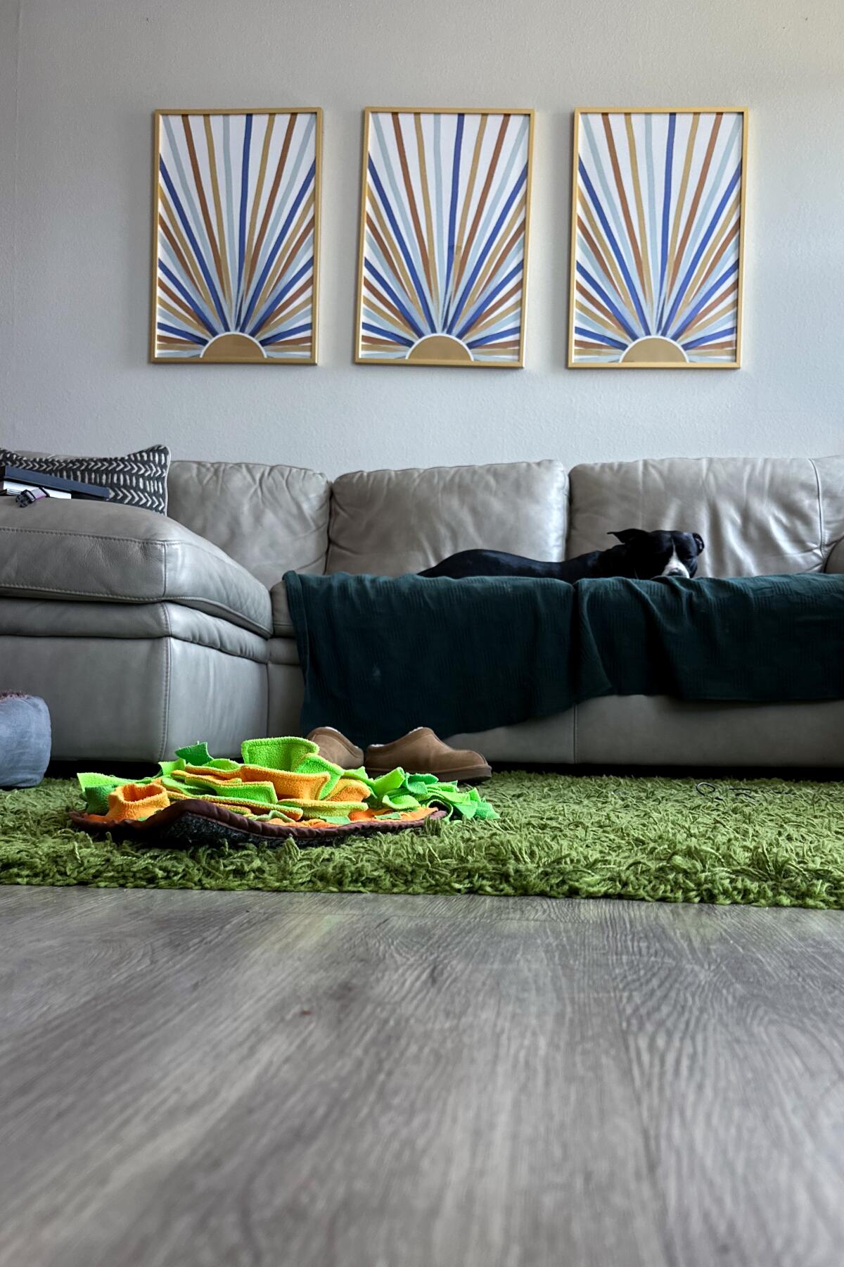 A couch and rug on a gray floor.