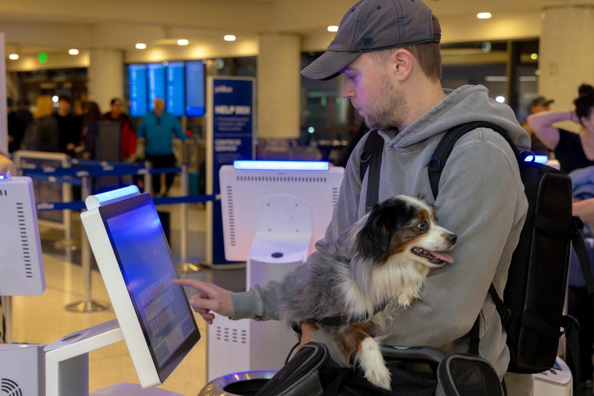 A man holding a small dog checks in for a flight at LAX.