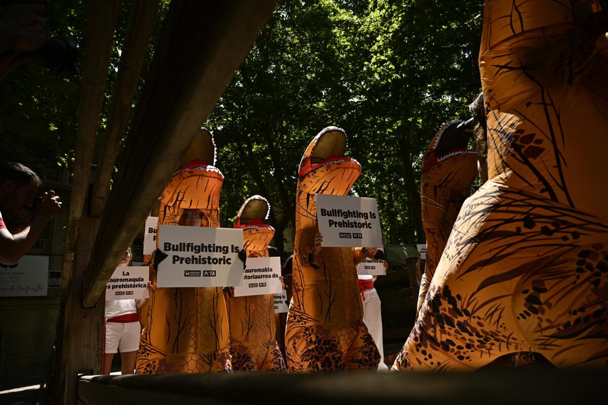 People dressing as dinosaurs protest against animal cruelty before the start of the San Fermin festival, which has been cancelled for the last two years due to coronavirus restrictions, in Pamplona, northern Spain, Tuesday, July 5, 2022. People from around the world flock to Pamplona to take part in the nine days of the festival which starts on Wednesday, July 6. (AP Photo/Alvaro Barrientos)