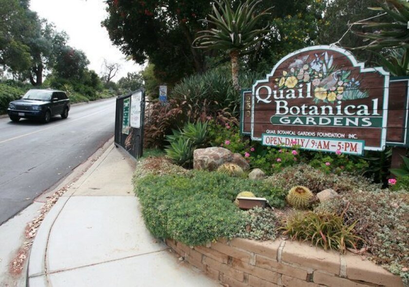 Encinitas Quail Botanical Gardens To Change Its Name The San