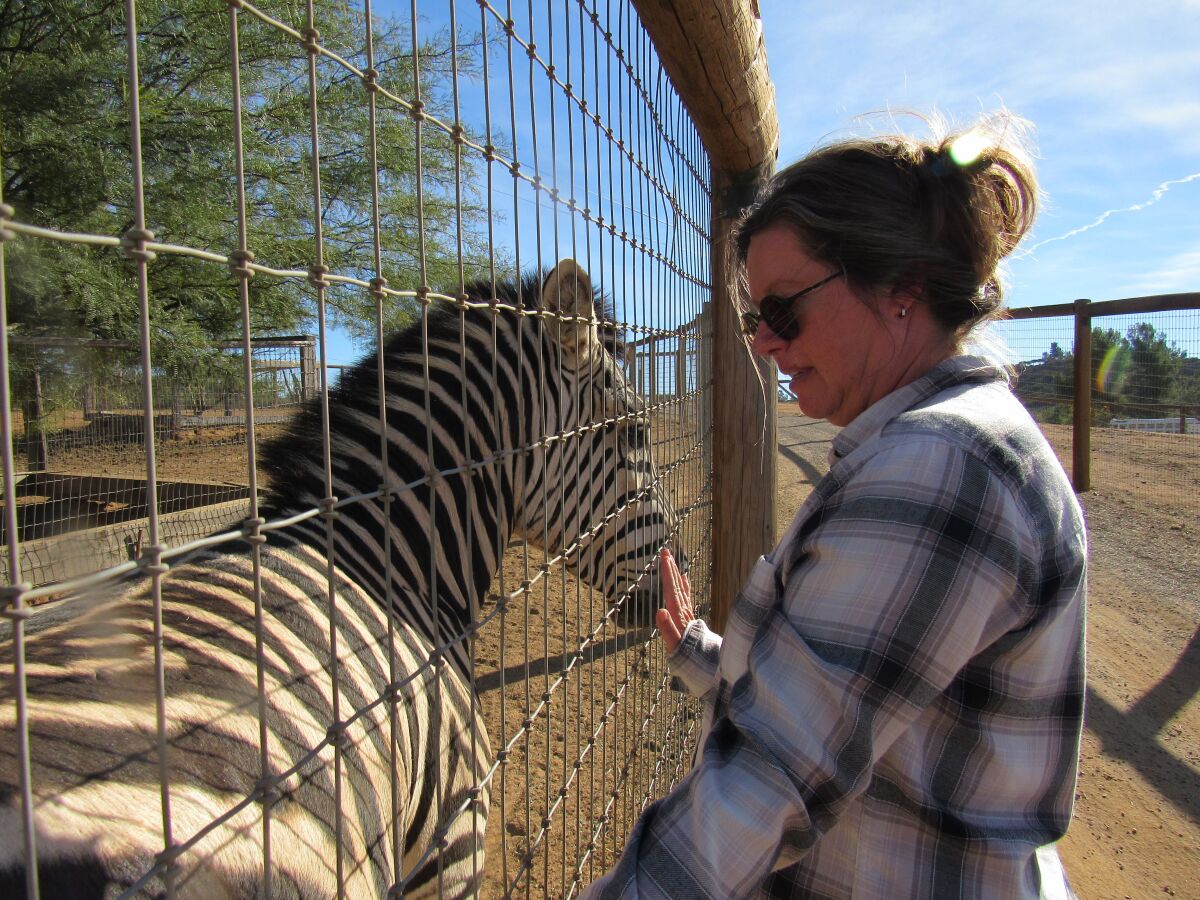 Agnes Barrelet, who runs Children's Nature Retreat, shares a moment with a zebra at the sanctuary.