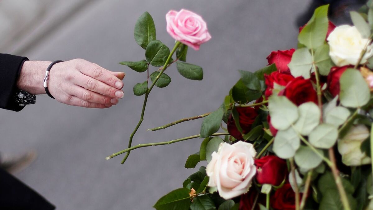 A woman places a flower Saturday following an attack in central Stockholm.