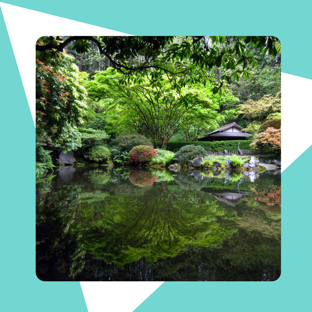 a photo of a pond in a Japanese garden on a blue and white background