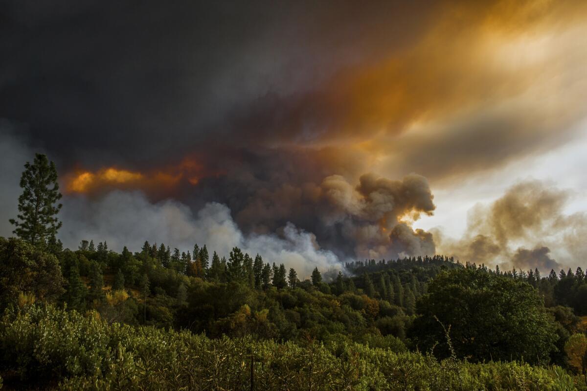 Smoke rises from a fire near Butte Mountain Road near Jackson, Calif., in September 2015. The fire burned 70,868 acres over 22 days.