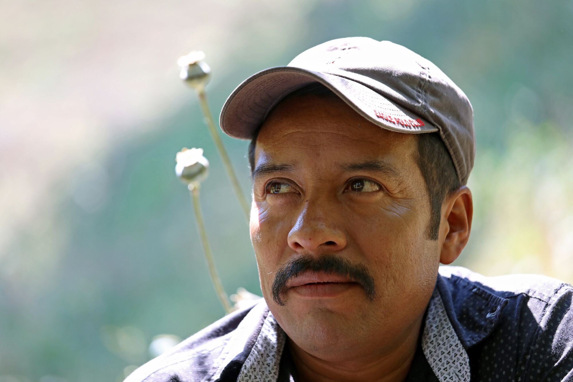 Pacheco, a father of five children, four of whom are in the U.S., can no longer make a living farming poppy plants. Demand dropped due to synthetics.