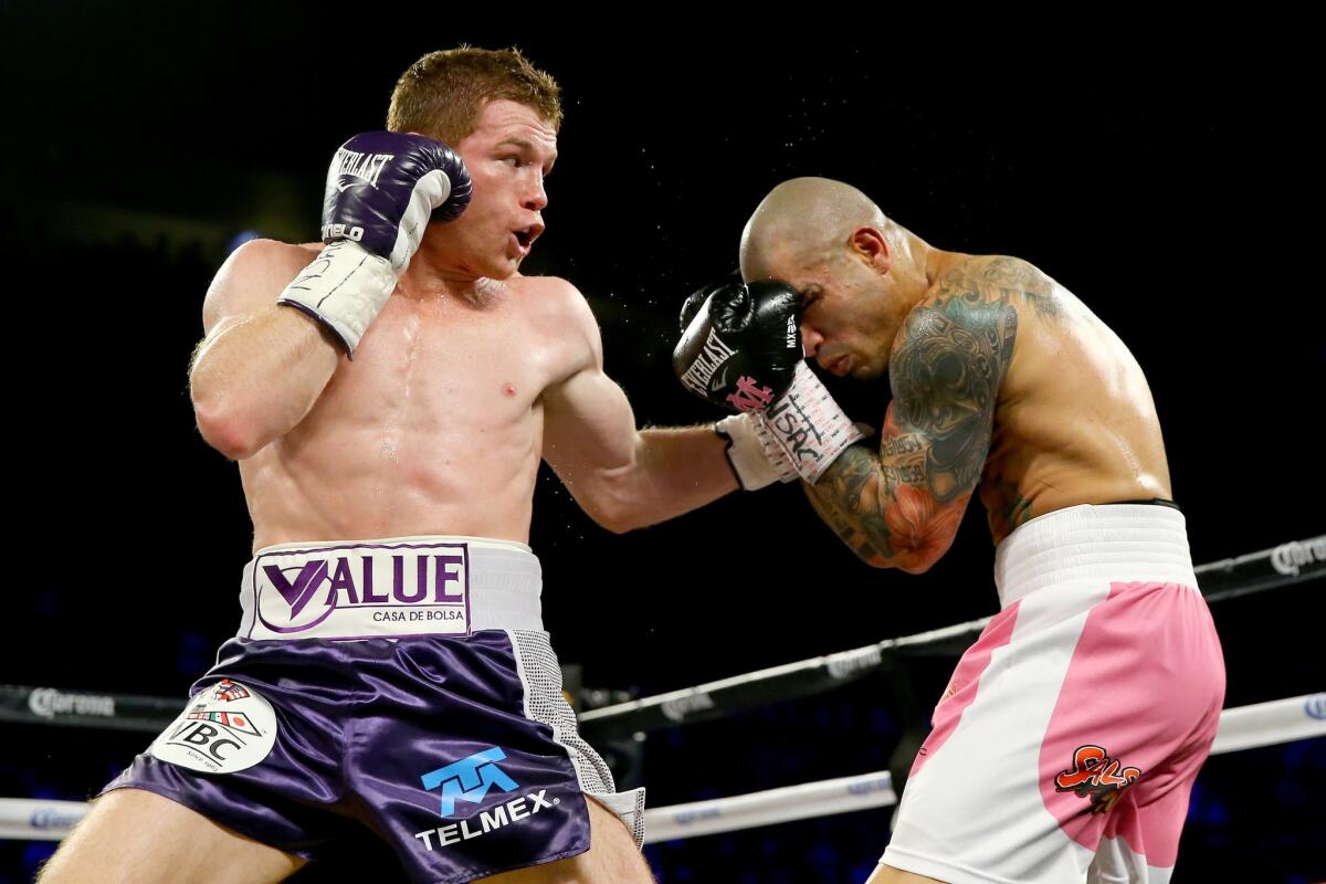 Canelo Alvarez lands a left hook against Miguel Cotto during their WBC middleweight fight on Saturday night in Las Vegas.
