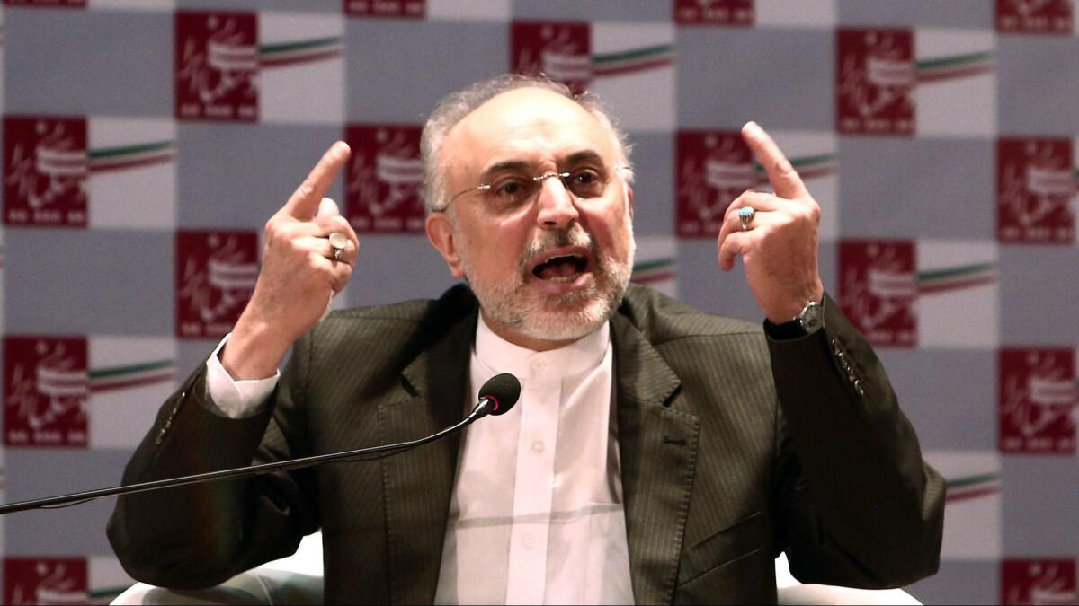 Ali Akbar Salehi speaks during a meeting with journalists in 2015.