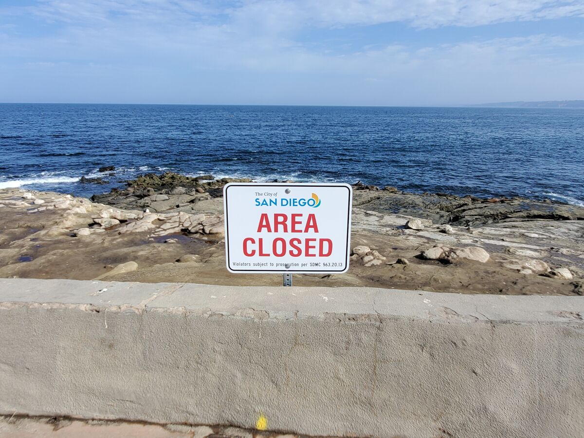 San Diego Considering Cameras For Point La Jolla As Surveillance Ordinance Moves Forward The San Diego Union Tribune San Diego Considering Cameras For Point La Jolla As Surveillance Ordinance Moves Forward The San Diego Union Tribune