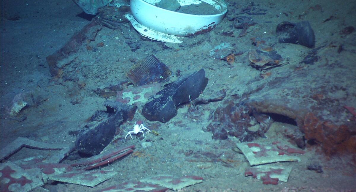 A pair of black shoes is among detritus on the ocean floor.