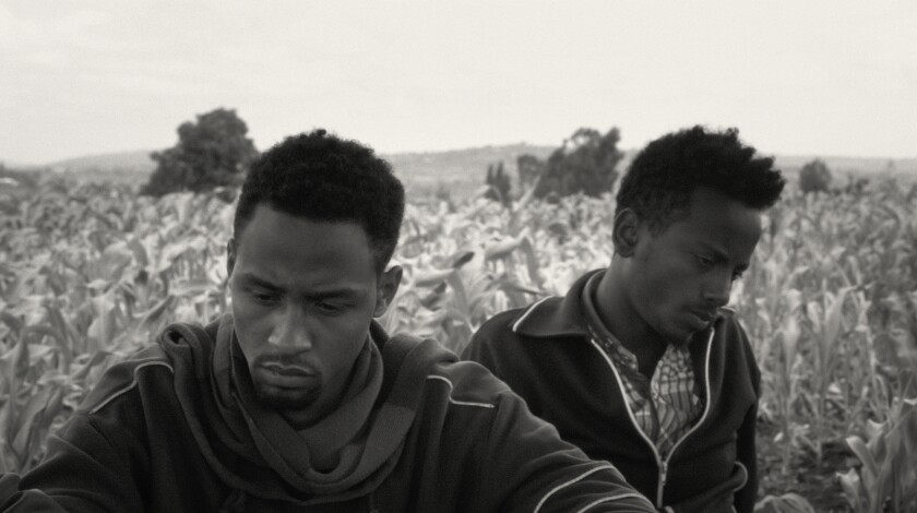 Photo en noir et blanc de deux jeunes hommes dans un champ du film documentaire