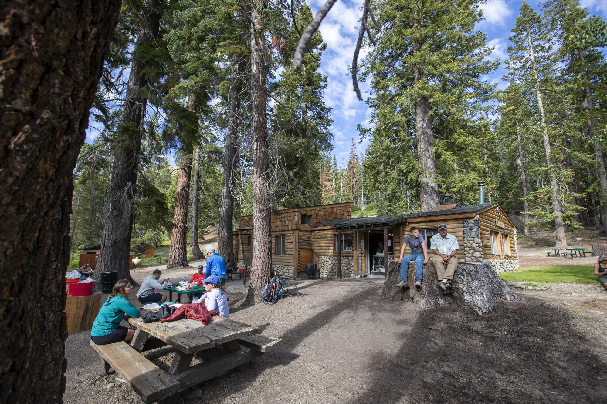 People sit at picnic tables and two men sit on a giant nearby stump.