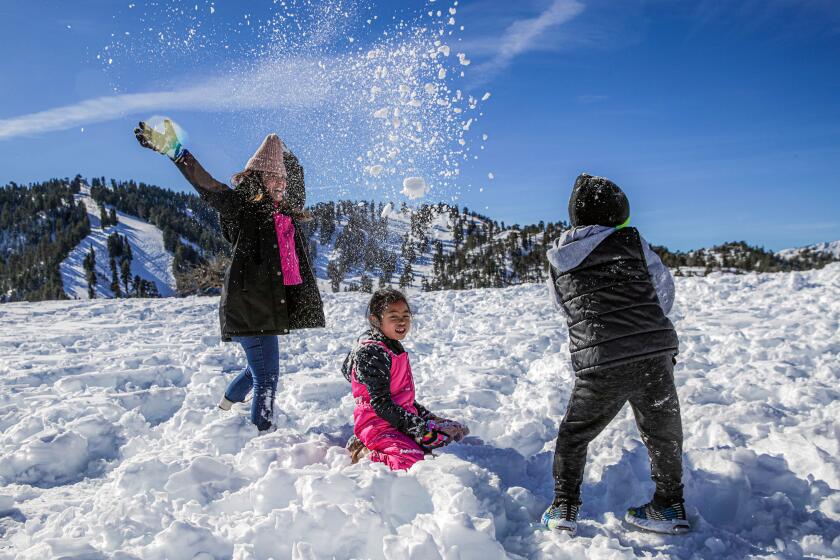 Playing in the snow along Table Mountain Road on Tuesday, Jan. 4, 2022 in Wrightwood, CA.