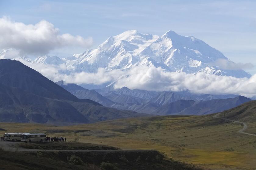 FILE - Sightseeing buses and tourists are seen at a pullout popular for taking in views of North America's tallest peak, Denali, in Denali National Park and Preserve, Alaska, Aug. 26, 2016. Two climbers awaited rescue near the peak of North America’s tallest mountain Wednesday, May 29, 2024, a day after they and a third climber in their team requested help after summiting Denali during the busiest time of the mountaineering season, officials at Denali National Park and Preserve said. (AP Photo/Becky Bohrer, File)