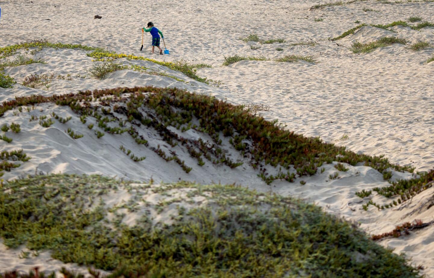 Morro Bay