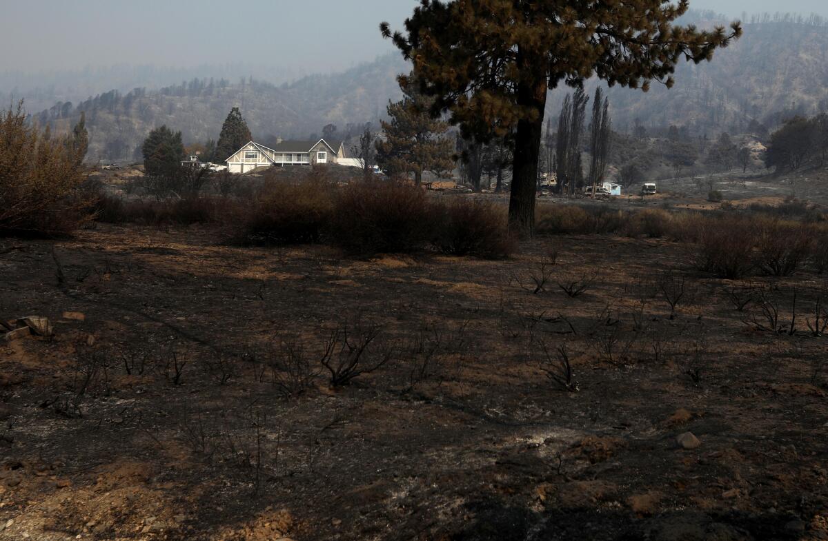 A charred landscape surrounds a home that survived the Wrightwood Bridge Fire. 