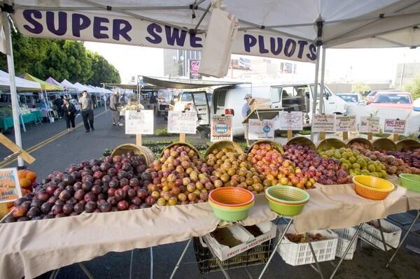 Amazing display of Pluots grown by Arnett Farms in Fresno, at the Hollywood farmers market.