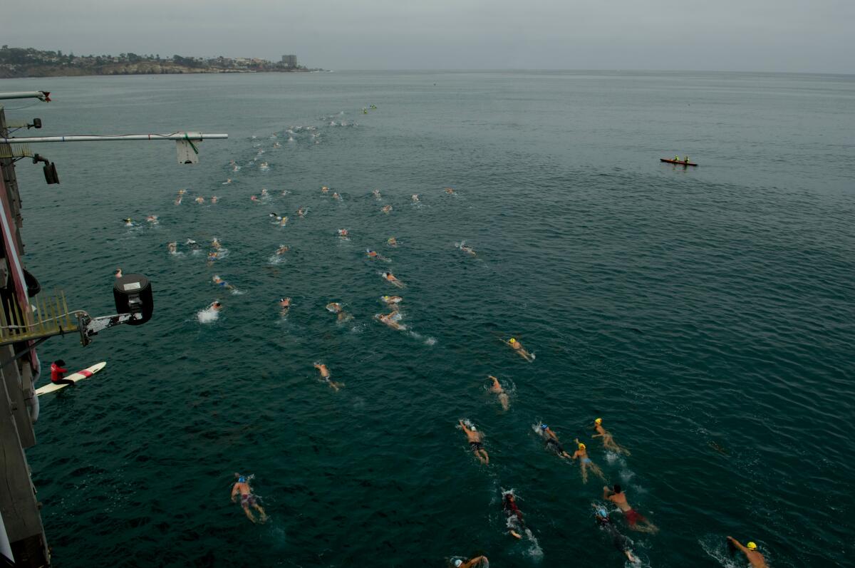During the Pier to Cove Swim, swimmers complete a 1.5-mile route from the Scripps Pier to the La Jolla Cove.
