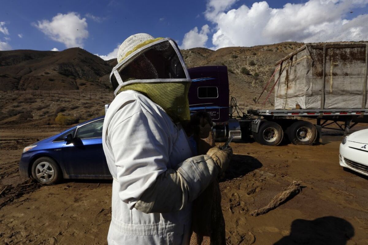 Workers remove a stranded tractor-trailer carrying live bees on Highway 58 near Tehachapi on Saturday.