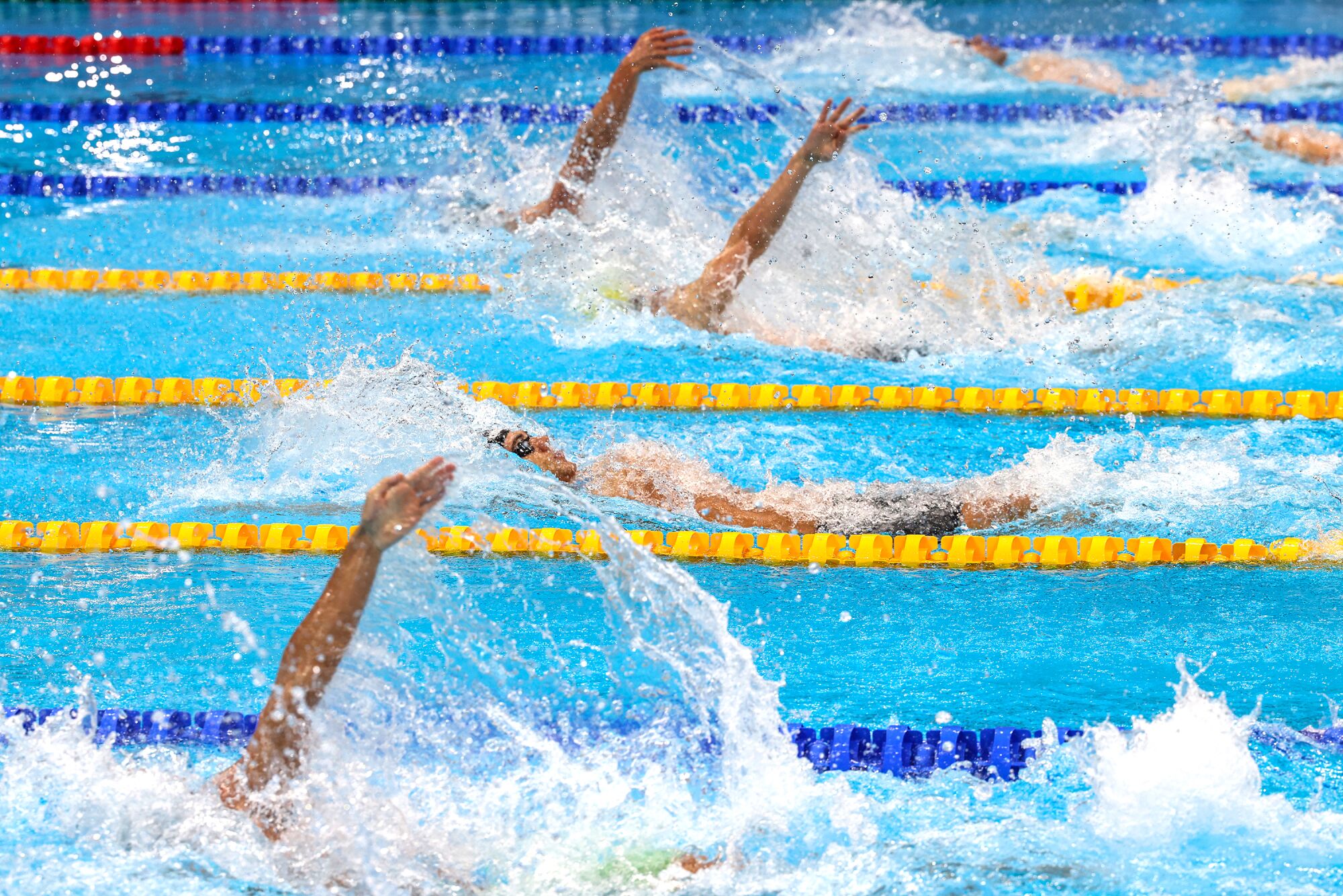 Swimmers compete in the Men's 100m Backstroke semifinal.
