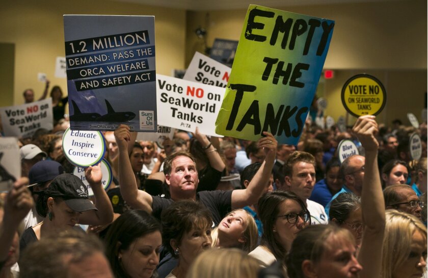 Animal rights activist Kirby Kotler, with his daughter Kirra, 12, from Malibu, Calif., holds up signs as opponents and supporters fill the room during a California Coastal Commission meeting, Thursday, Oct. 8, 2015, in Long Beach, Calif. The commission is considering a vast expansion to the tanks that SeaWorld uses to hold killer whales in San Diego. (AP Photo/Damian Dovarganes)