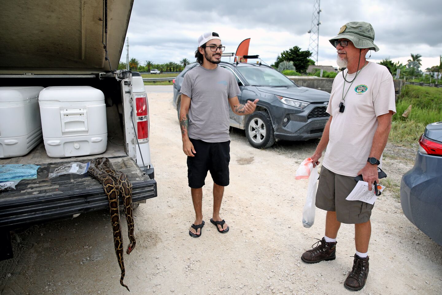 Two python hunters stand by a truck with coolers and a snake in the back