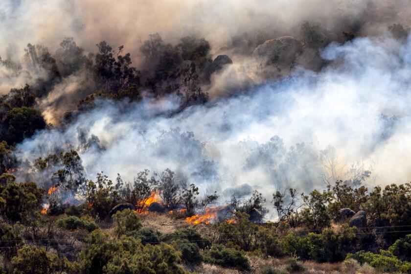 AGUANGA, CA - OCTOBER 31:A brush fire dubbed the Highland fire, burns along Highway 371 on Tuesday, Oct. 31, 2023 in Aguanga, CA. (Irfan Khan / Los Angeles Times)