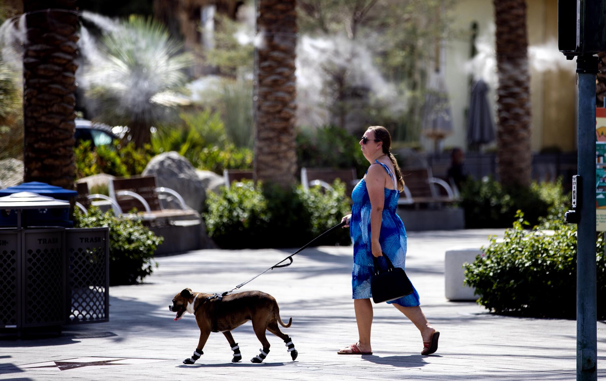 A woman in a sundress walks her dog, which is wearing booties to protect its paws from the hot pavement