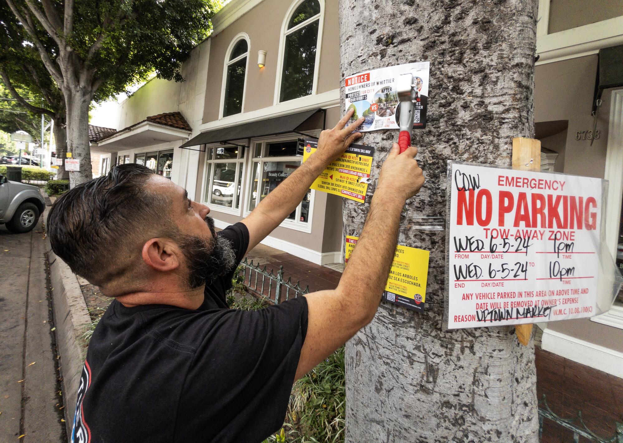 A person puts a sign on a tree.