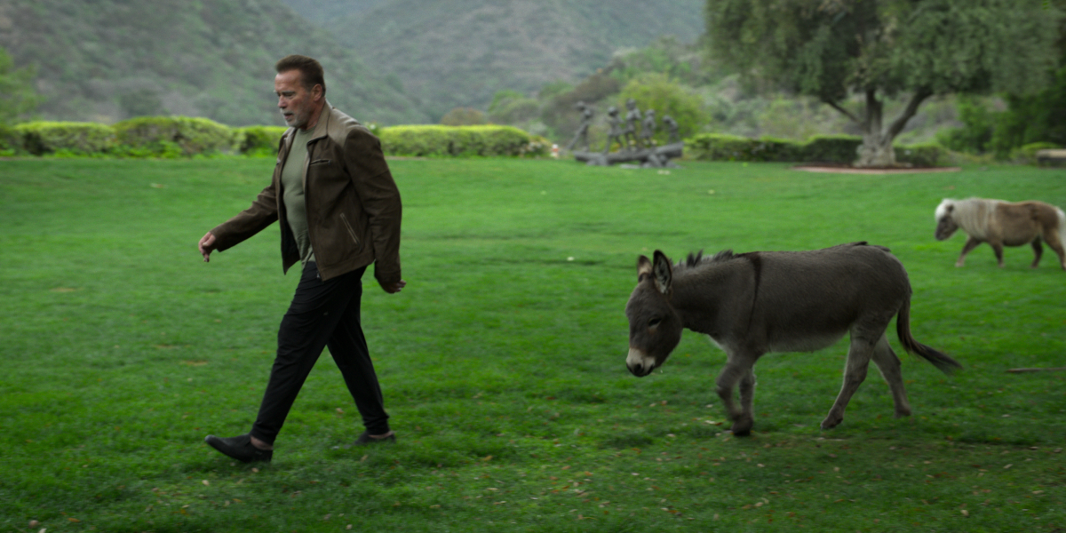 Schwarzenegger walks through a green field with his miniature donkey and horse.